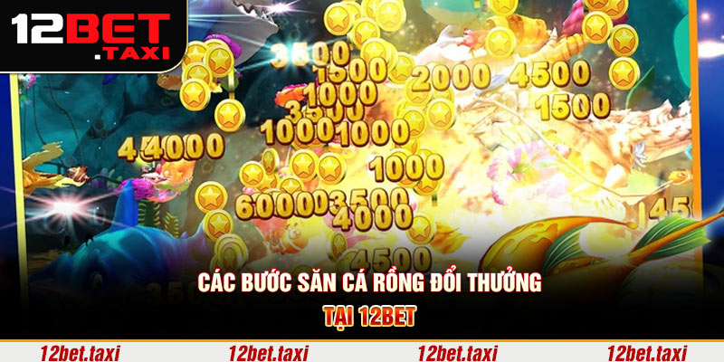 Các bước săn cá rồng đổi thưởng tại 12BET 